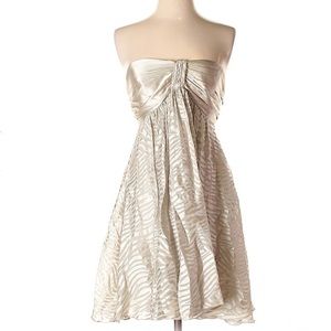 Express Strapless Dress